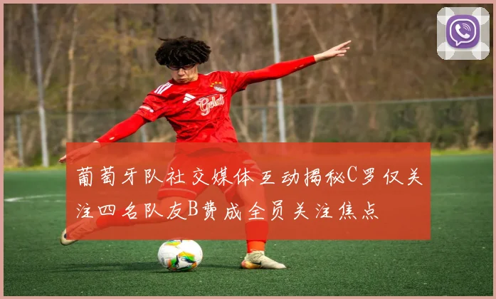 葡萄牙队社交媒体互动揭秘C罗仅关注四名队友B费成全员关注焦点